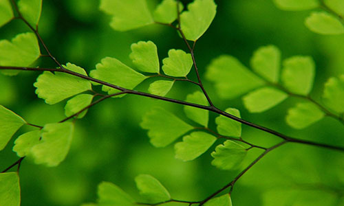 校园兼职代理如何有效招人? 校园兼职代理如何有效招人?