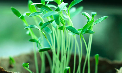 自由职业者英语,掌握新技能,迎接职业新挑战 自由职业者英语,掌握新技能,迎接职业新挑战